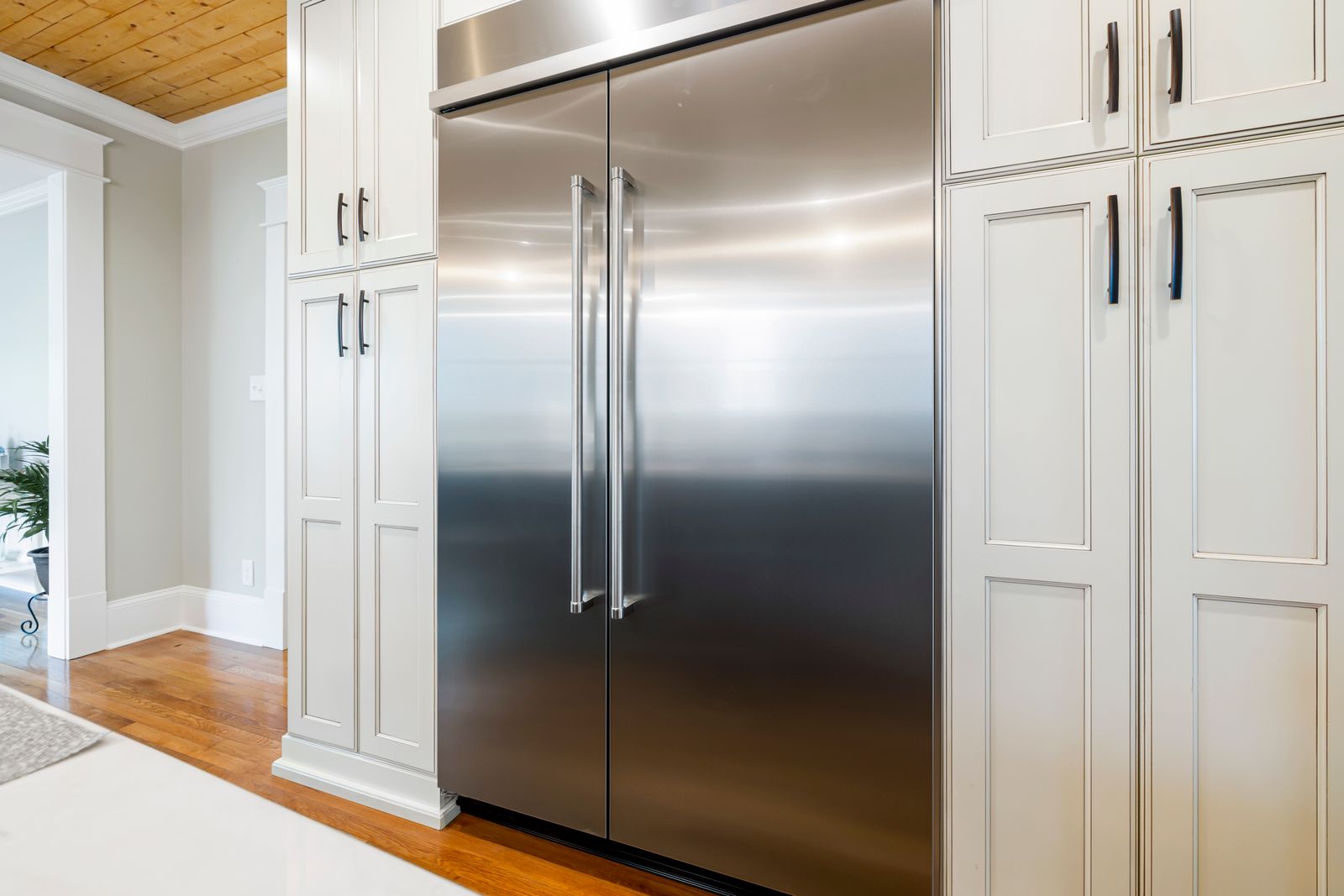 DCS stainless outdoor refrigerator double door
